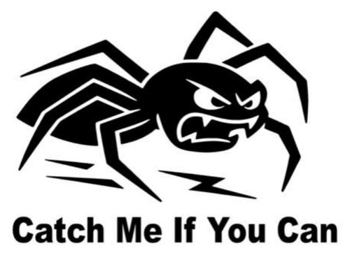 Spider catch me if you - if,