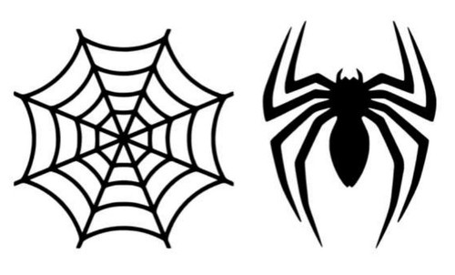 Spider web car decal - spider,